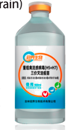 วัคซีนเชื้อตายไข้หวัดนก H5+H7 สามสายพันธุ์