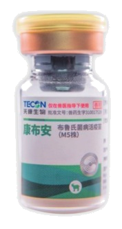 วัคซีนเชื้ออ่อนฤทธิ์โรคบรูเซลโลซิส M5