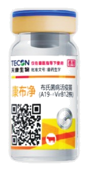 วัคซีนเชื้ออ่อนฤทธิ์โรคบรูเซลโลซิส A19-ΔVirB2