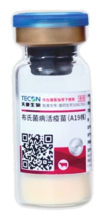 วัคซีนเชื้ออ่อนฤทธิ์โรคบรูเซลโลซิส A19