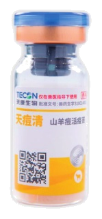 วัคซีนเชื้ออ่อนฤทธิ์โรคอหิวาต์แพะ